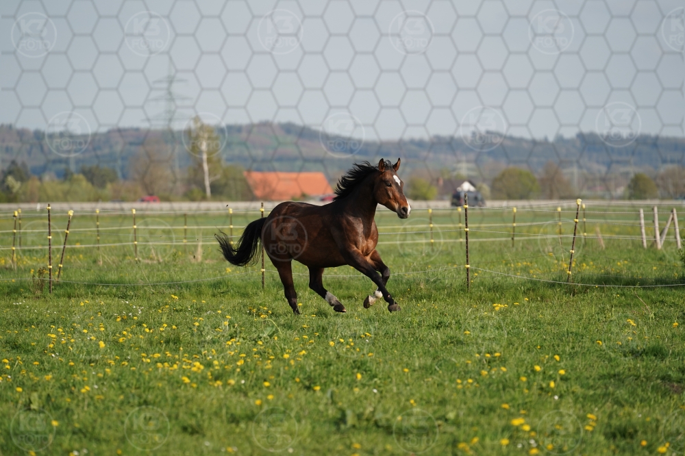 s_A9_09686.jpg